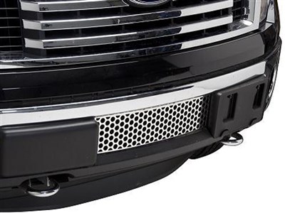 Ford f150 ecoboost lower grille #5