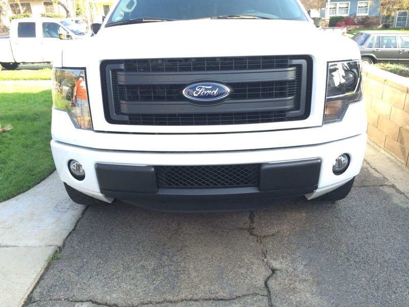 2011 Ford f150 lower bumper grille #4
